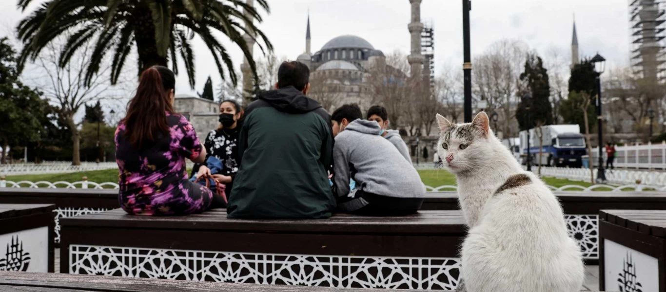 Κορωνοϊός: 62.606 νέα κρούσματα και 288 νεκρούς σε 24 ώρες στην Τουρκία